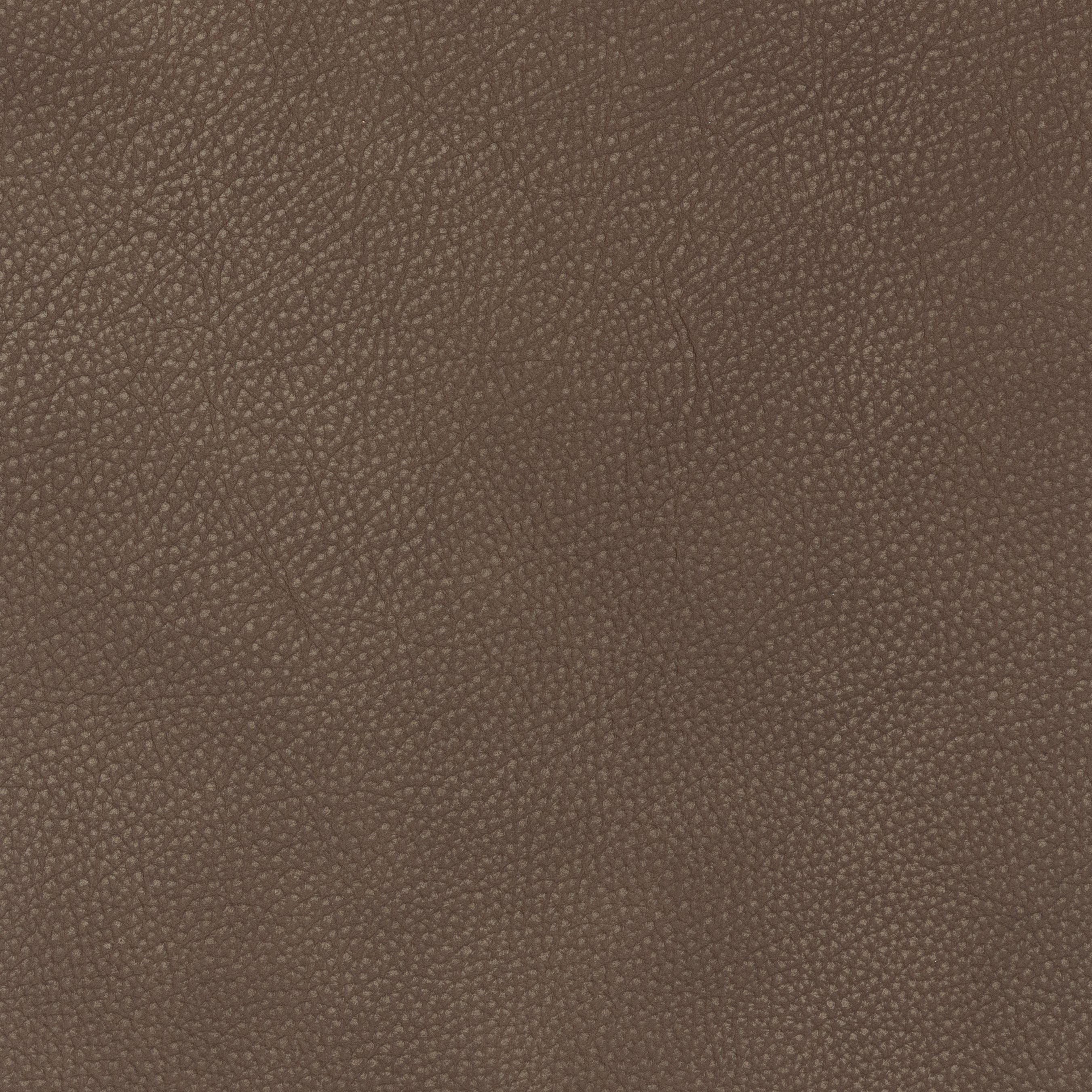 Cassiano Slip Cover Sofa