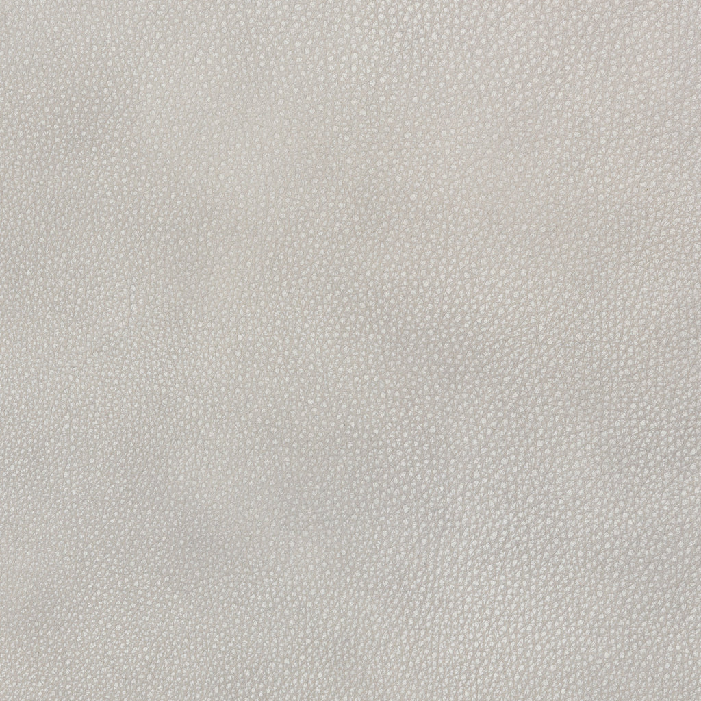 Cassiano Slip Cover Sofa