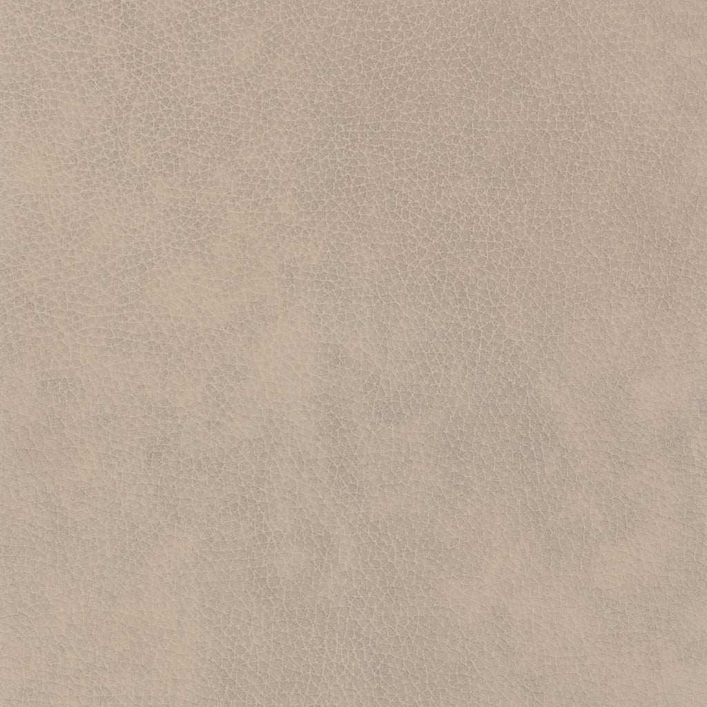 Cassiano Slip Cover Sofa